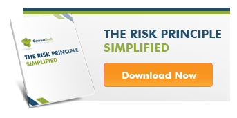 Download The Risk Principle Simplified